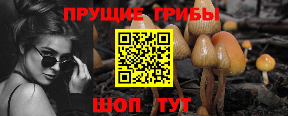 Галлюциногенные грибы Magic Shrooms Коркино